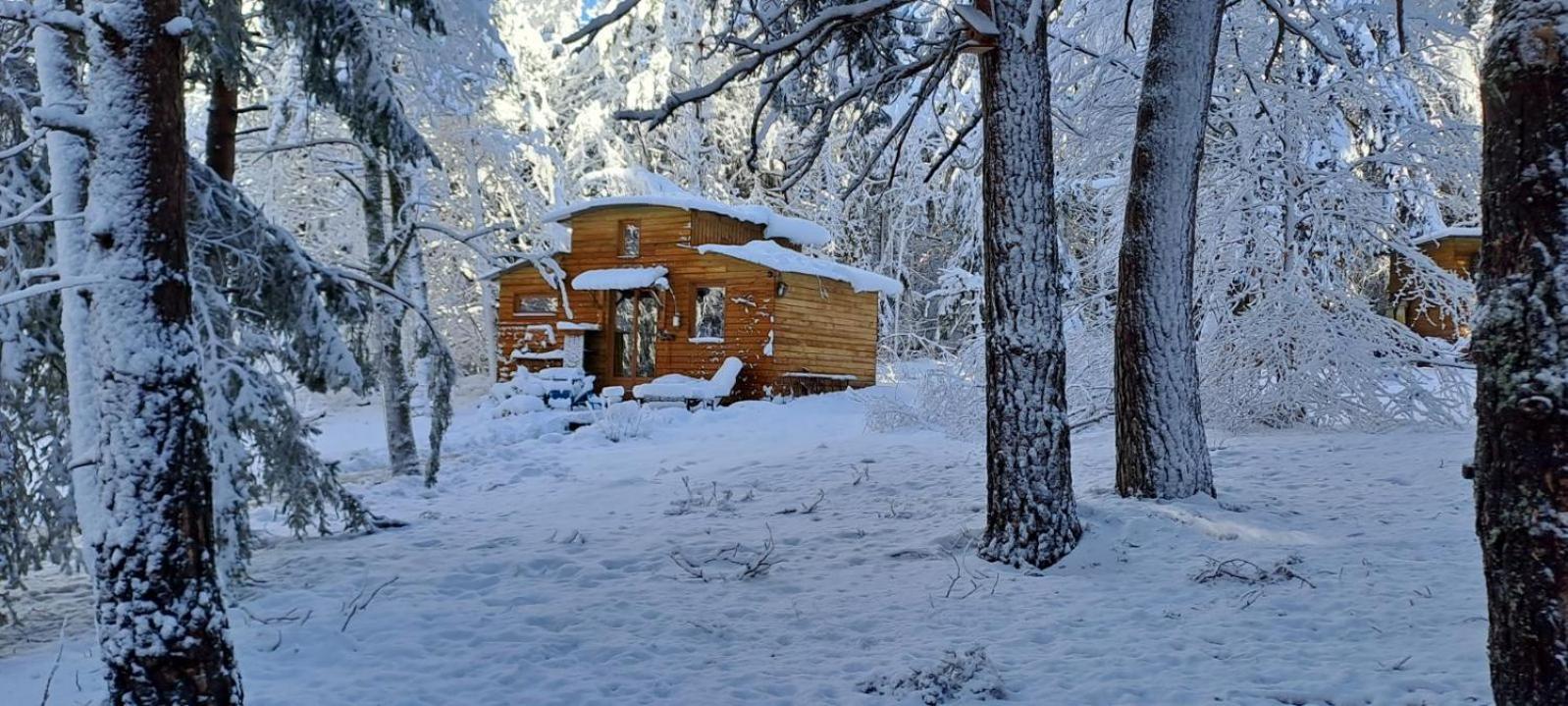 Chalet Cricri Domaine De La Mamounette Champclause Eksteriør bilde